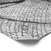 Poster On M'Appelle Lucky Lucky Luciano (Coin)