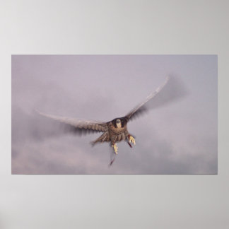 Poster On ne peut pas arrêter le tonnerre...