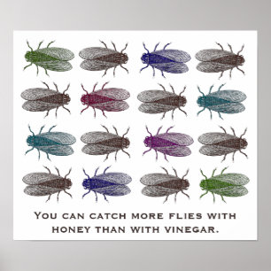 Poster On peut attraper plus de mouches avec du miel que