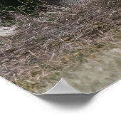 Poster On Vous Regarde (Coin)