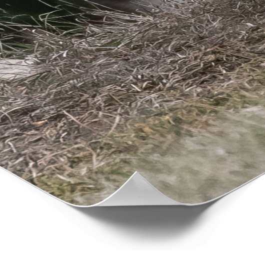 Poster On Vous Regarde (Coin)