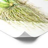 Poster Oncidium Leucochilum fine art orchidée aquarelle (Coin)