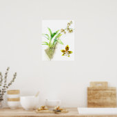 Poster Oncidium Leucochilum orchidée en art fin aquarelle (Cuisine)
