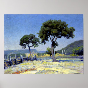 Poster Onderdonk - Live Oak Trees