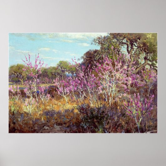 Poster Onderdonk - Redbud Tree In Bloom, Leon Springs (Devant)