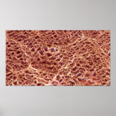 Poster Ondes sur barre de sable avec boue séchée III - Sa (Devant)