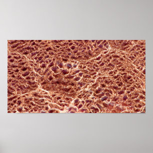 Poster Ondes sur barre de sable avec boue séchée III - Sa