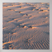 Poster ondulation de sable (Devant)