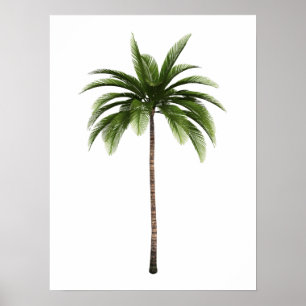 Poster One Palm Tree Tropical Beach Island Art Simple Amu
