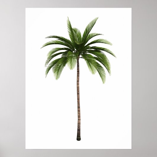 Poster One Palm Tree Tropical Beach Island Art Simple Amu (Devant)