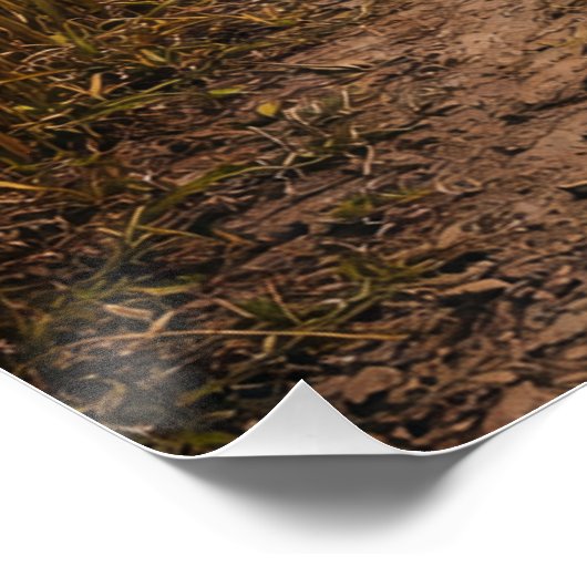 Poster One Path Forward – Minimalist Symbolic Landscape (Coin)