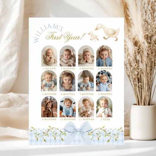 Poster One Silly Goose Boy 1st Birthday Photo Milestone
