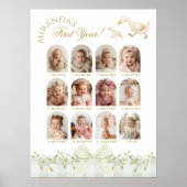 Poster One Silly Goose Sage 1st Birthday Photo Milestone (Devant)