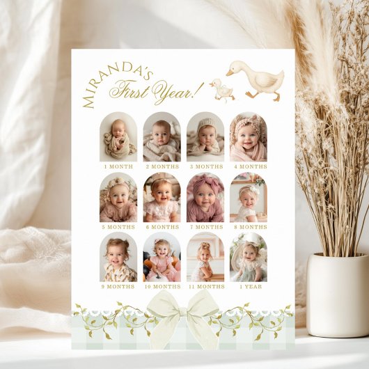 Poster One Silly Goose Sage 1st Birthday Photo Milestone