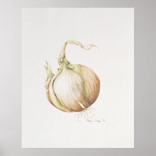 Poster Onion Study 1993 (Devant)
