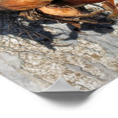 POSTER ONIONS (Coin)