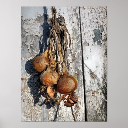 POSTER ONIONS (Devant)