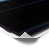 Poster Onle Lizard Sunning (Coin)