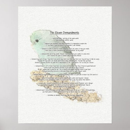 Poster Onze Demandes De Parrotlets (Devant)