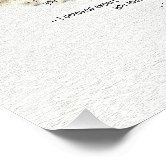 Poster Onze demandes de perroquets (Coin)