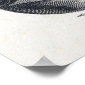 Poster oogillustratie (Hoek)