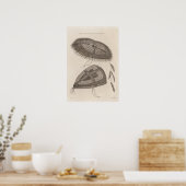 Poster Oonalashka casquettes, Alaska (Cuisine)