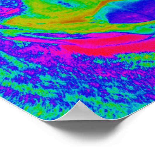 Poster Op Art Pitbull (Coin)