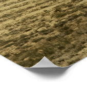 Poster Open Country (Coin)