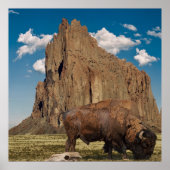 Poster Open Country (Devant)