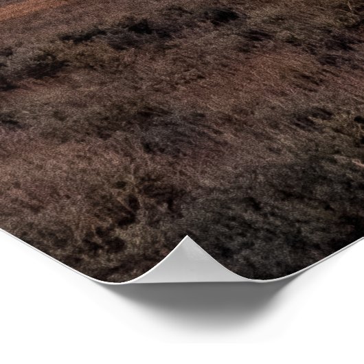 Poster Open Prairie Grand Teton (Coin)