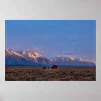 Open Prairie Grand Teton