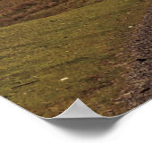 Poster Open Road (Coin)