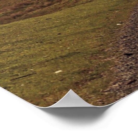 Poster Open Road (Coin)