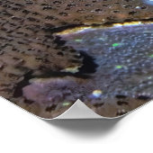 Poster Open Wide (Coin)