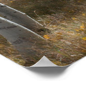 Poster Open Woods (Coin)