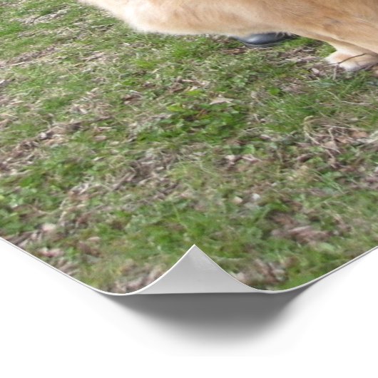 Poster opérable (Coin)