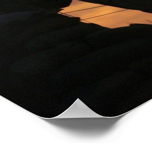 Poster Opération Liberté immuable (Coin)