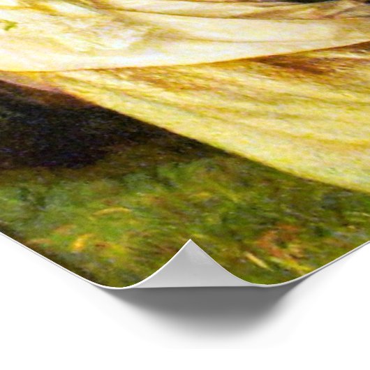 Poster Ophélie (Coin)