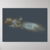 Poster Ophélie ? (Devant)