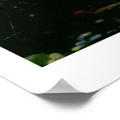 Poster Ophélie (huile sur toile) (Coin)