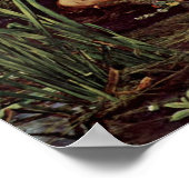 Poster Ophélie par John Everett Millais (Coin)