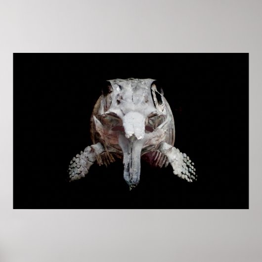 Poster Ophthalmosaurus (Devant)
