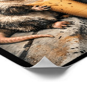Poster Opossum Buvant du Café Glacé Mème Drôle d'Animal p (Coin)