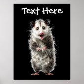 Poster Opossum choqué drôle et surpris (Devant)
