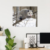 Poster Opossum Love (Bureau à domicile)