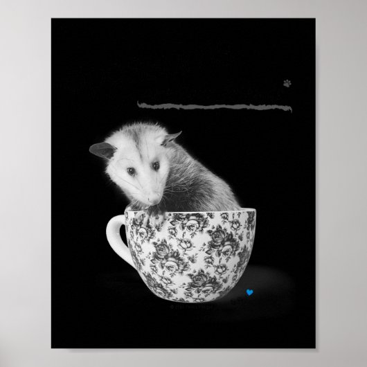 Poster Opossum sont vos amis (Devant)
