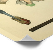 Poster Optométrie chirurgie oculaire Art Médicale Imprime (Coin)