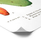 Poster Opuntias (Coin)