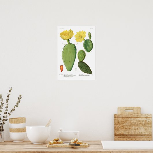 Poster Opuntias (Cuisine)