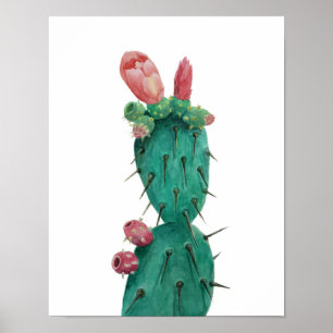 Poster Opuntie dans les aquarelles